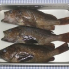 簡単 美味しい メバルの干物で煮付け レシピ 作り方 By 楽天出店店舗 ウミダスジャパン 楽天レシピ 簡単 美味しい メバルの干物で煮付け レシピ 作り方 By 楽天出店店舗 ウミダスジャパン 楽天レシピ